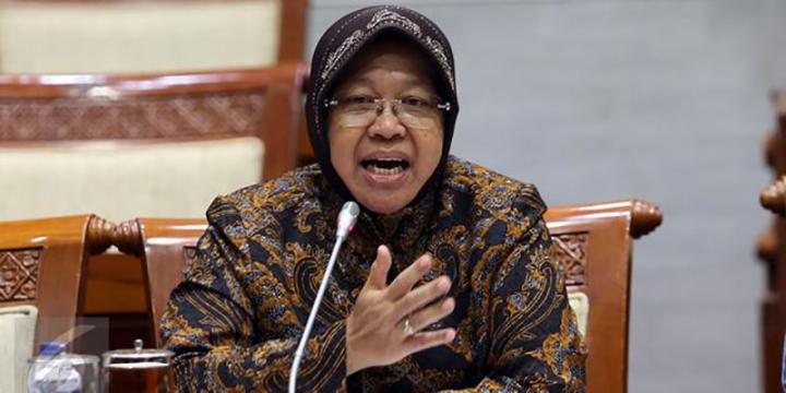 Risma Minta Anak Tuli Bicara, Pengamat Sosial UNILA: Tidak Semua Bisa Disamaratakan